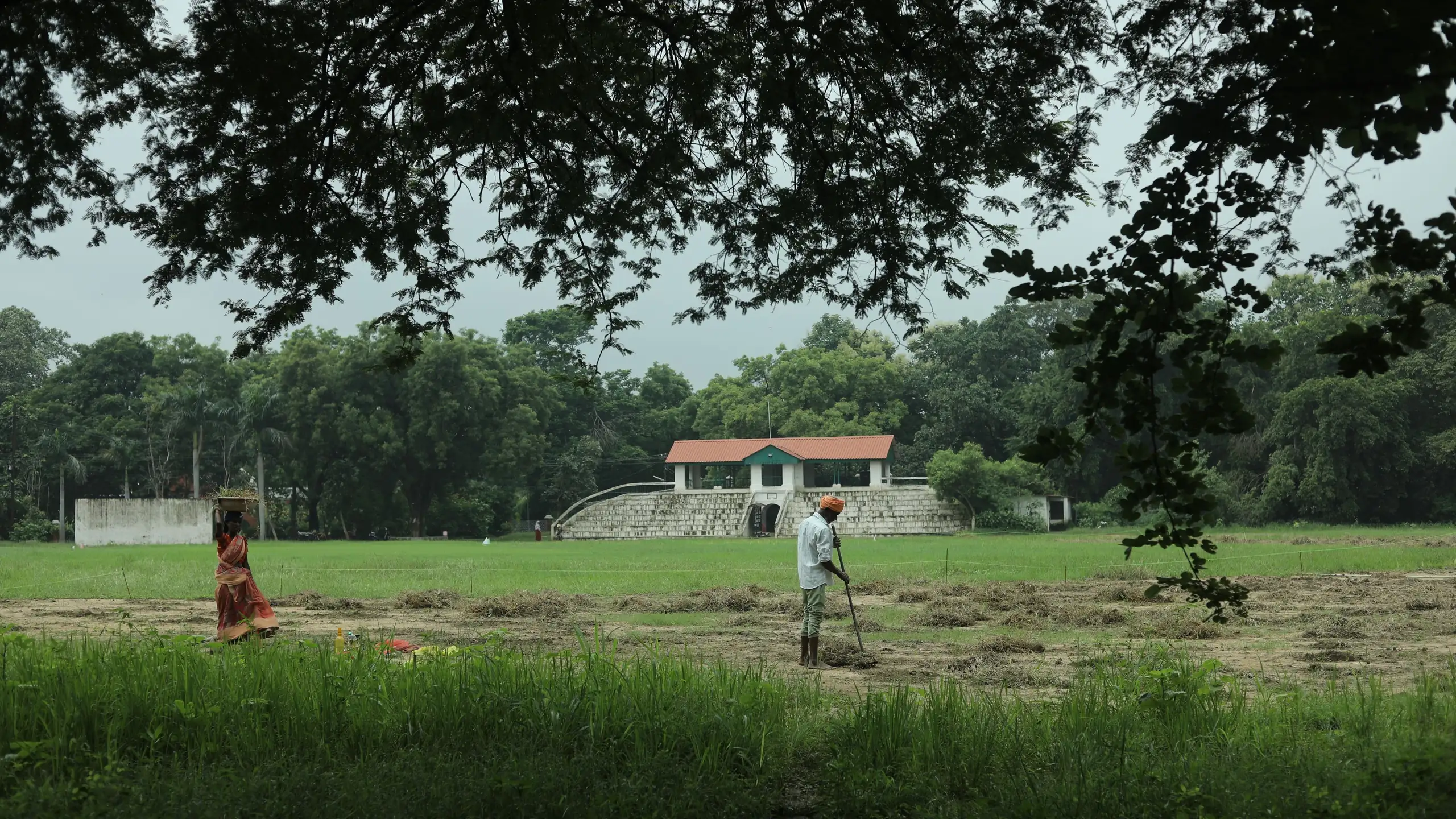 A green field and a farmhouse under the trees in rural Chhattisgarh
