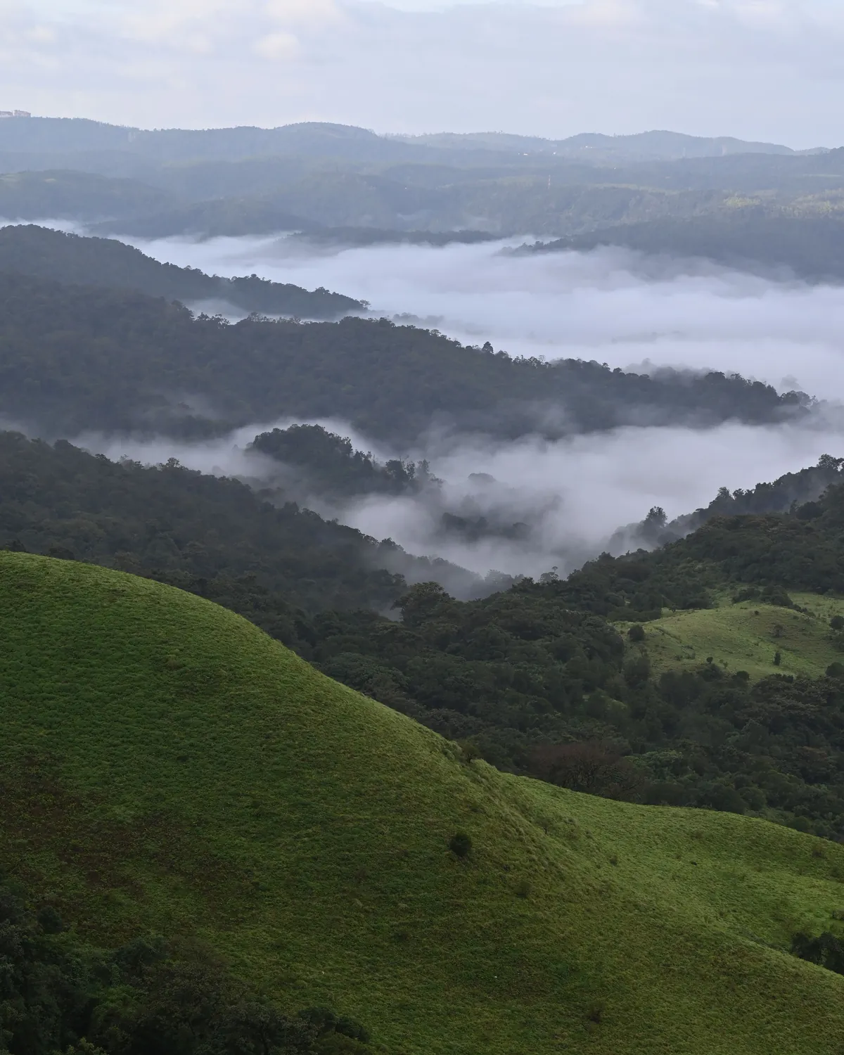 Mist lying in the valleys between the green hills of Coorg