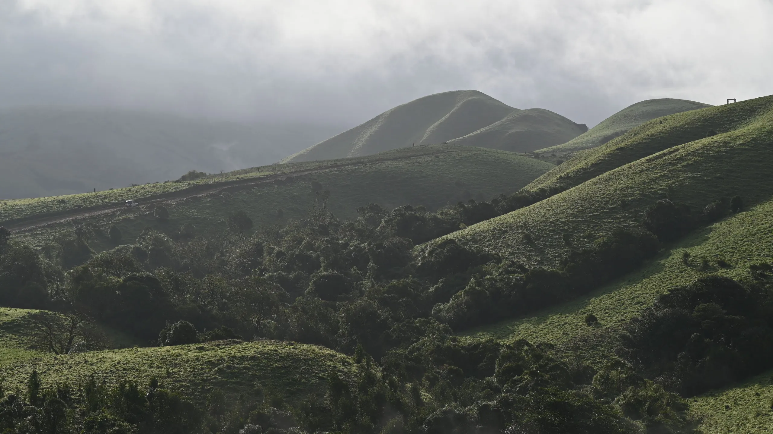 Cloud drifting over the green hills of Coorg