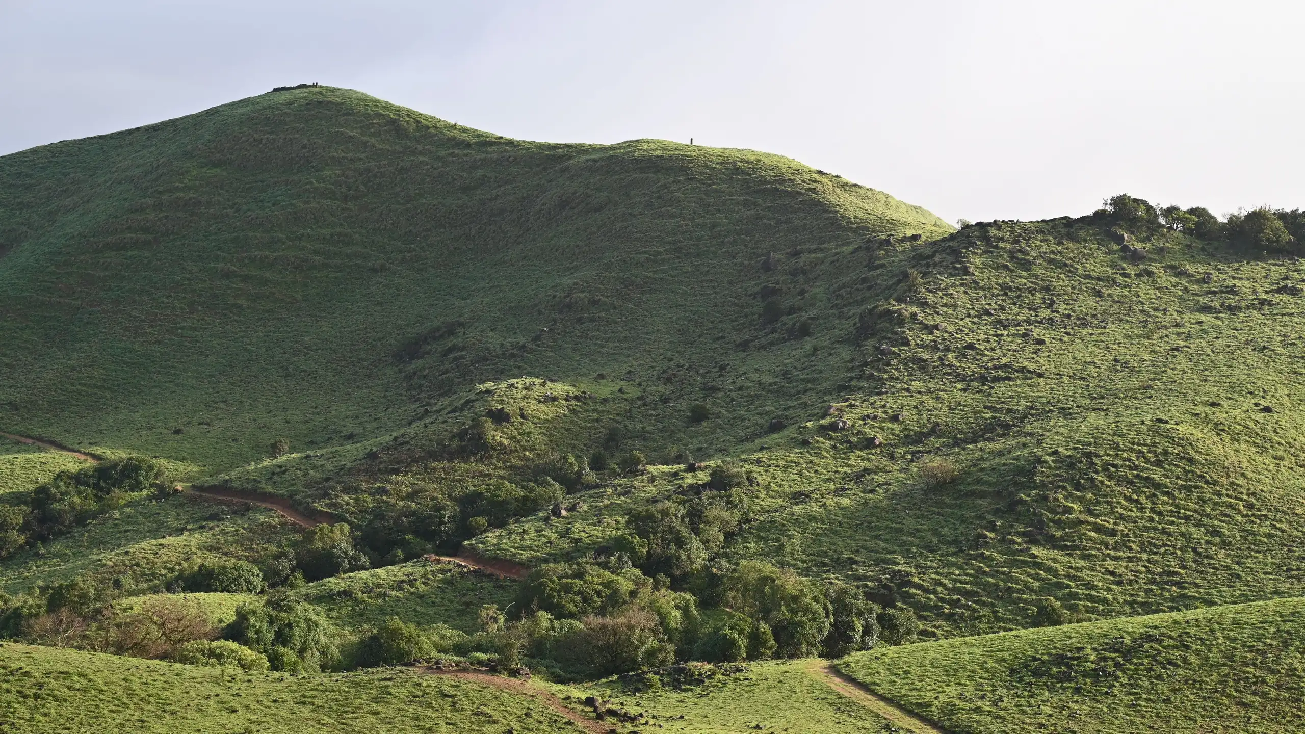 Grass hills and a track under a pale sky in Coorg