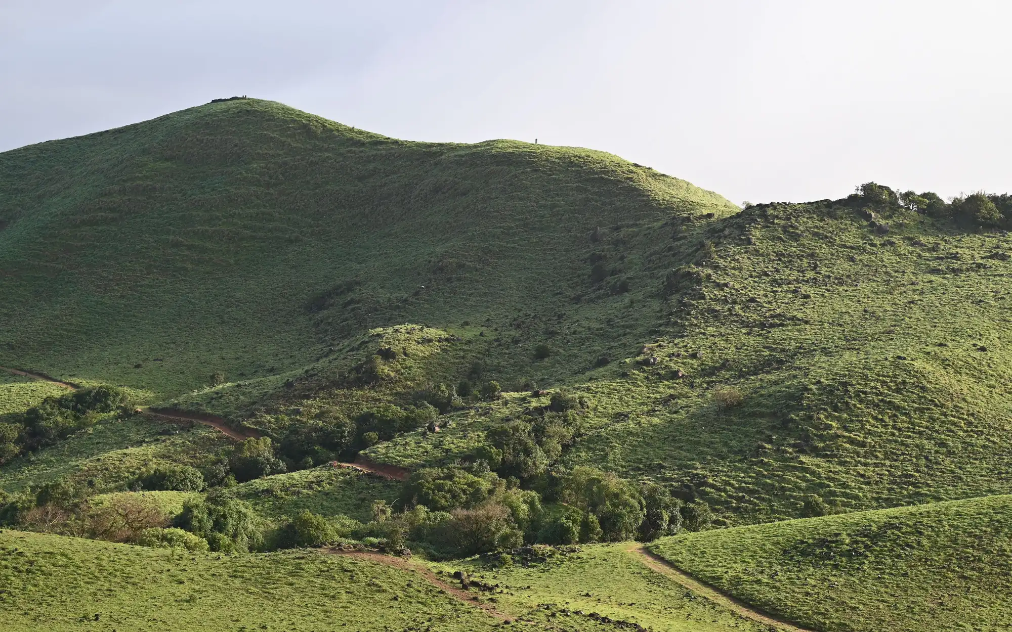Grass hills and a track under a pale sky in Coorg