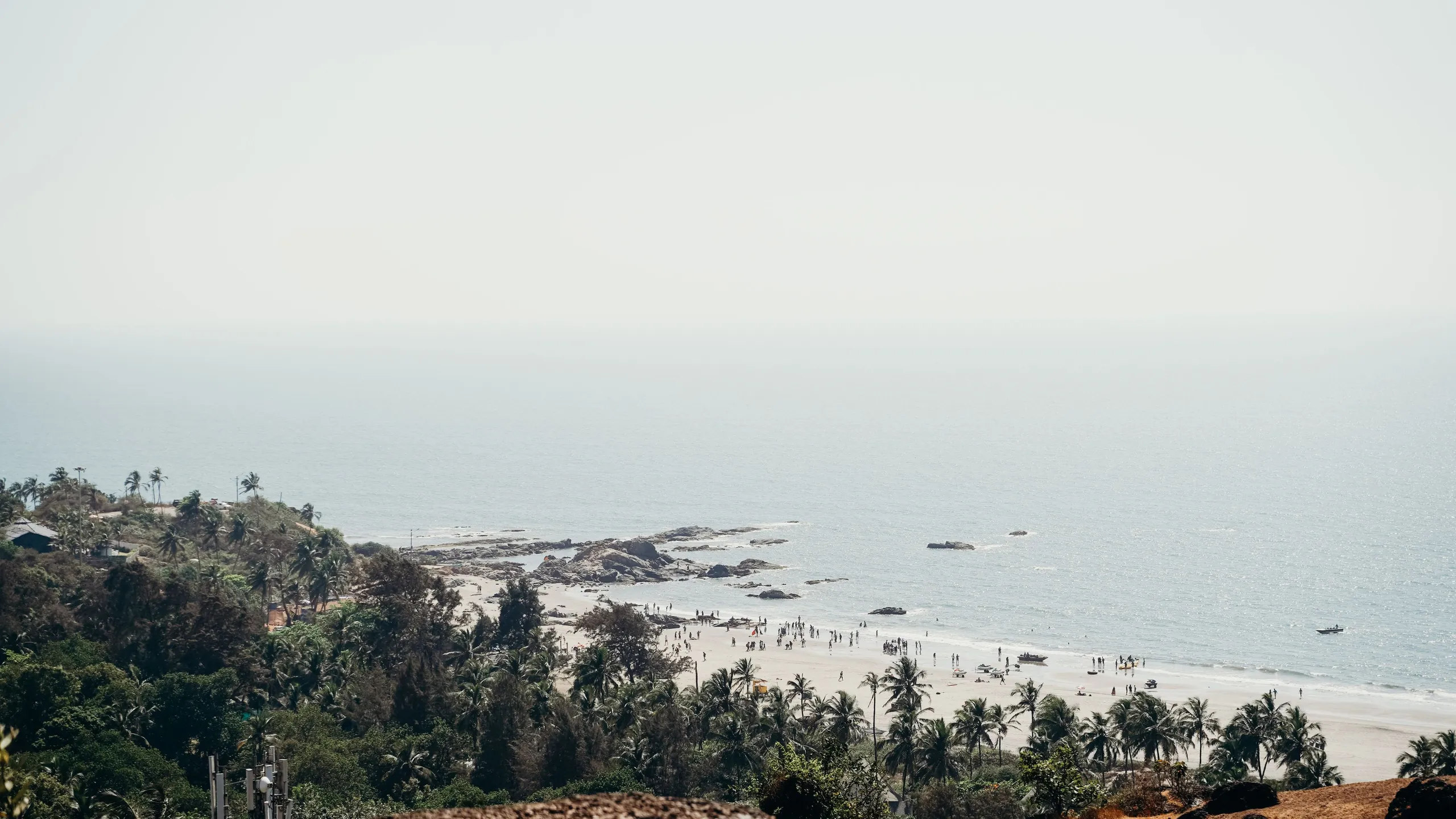 The Goa coastline seen from a headland, beaches and palms below