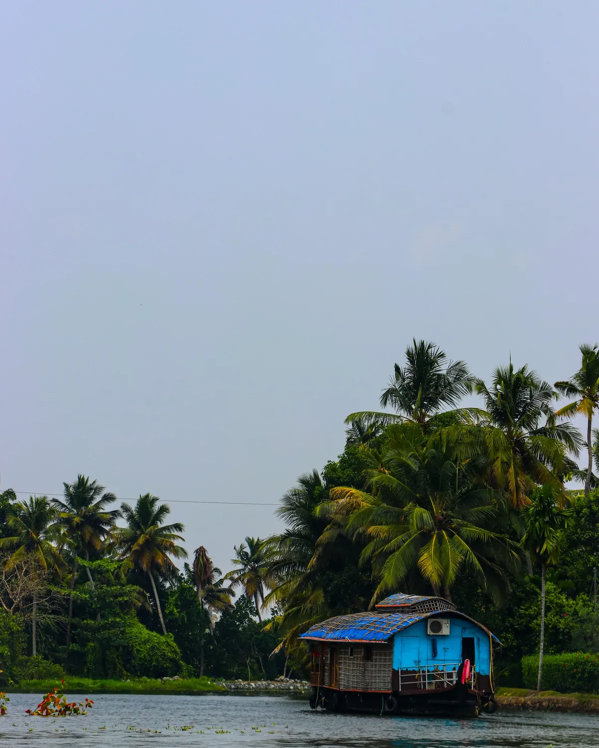 A houseboat under palm trees on the backwaters of Kerala